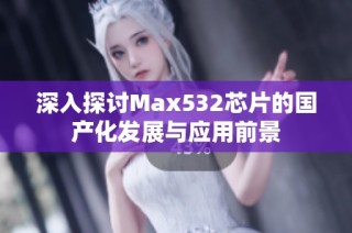 深入探讨Max532芯片的国产化发展与应用前景