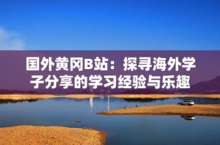 国外黄冈B站：探寻海外学子分享的学习经验与乐趣