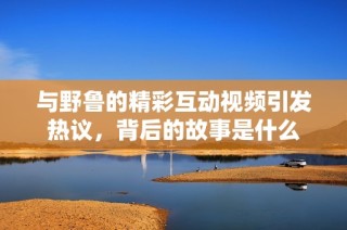 与野鲁的精彩互动视频引发热议，背后的故事是什么