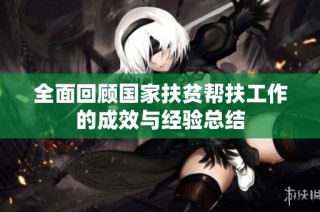 全面回顾国家扶贫帮扶工作的成效与经验总结
