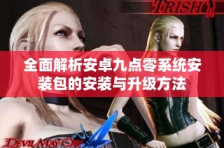 全面解析安卓九点零系统安装包的安装与升级方法