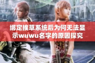 绑定挨草系统后为何无法显示wuwu名字的原因探究