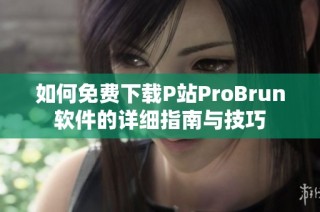 如何免费下载P站ProBrun软件的详细指南与技巧