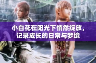 小白花在阳光下悄然绽放，记录成长的日常与梦境