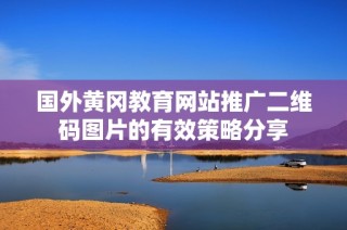 国外黄冈教育网站推广二维码图片的有效策略分享