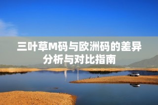 三叶草M码与欧洲码的差异分析与对比指南