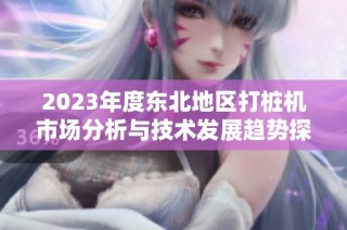 2023年度东北地区打桩机市场分析与技术发展趋势探讨