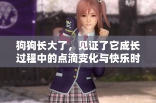 狗狗长大了，见证了它成长过程中的点滴变化与快乐时光