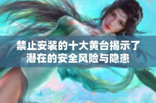 禁止安装的十大黄台揭示了潜在的安全风险与隐患