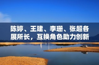 陈婷、王建、李珊、张超各展所长，互换角色助力创新发展