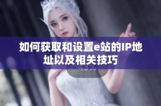 如何获取和设置e站的IP地址以及相关技巧