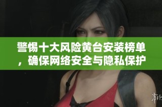 警惕十大风险黄台安装榜单，确保网络安全与隐私保护