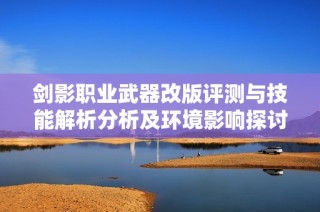 剑影职业武器改版评测与技能解析分析及环境影响探讨