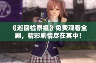 《巡回检察组》免费观看全剧，精彩剧情尽在其中！