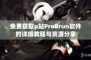 免费获取p站ProBrun软件的详细教程与资源分享