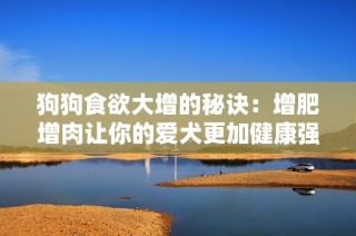 狗狗食欲大增的秘诀：增肥增肉让你的爱犬更加健康强壮