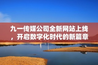 九一传媒公司全新网站上线，开启数字化时代的新篇章