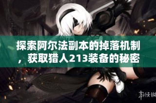探索阿尔法副本的掉落机制，获取猎人213装备的秘密