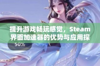 提升游戏畅玩感觉，Steam界面加速器的优势与应用探讨
