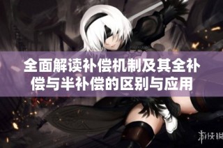 全面解读补偿机制及其全补偿与半补偿的区别与应用