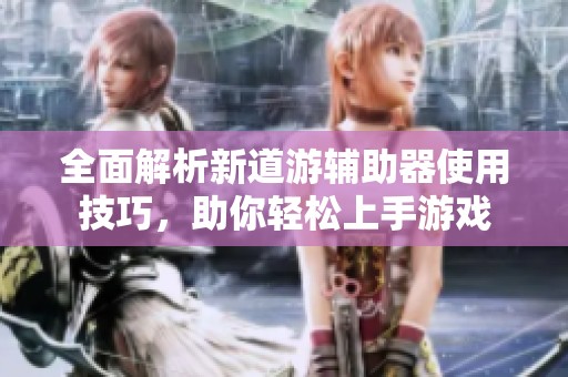 全面解析新道游辅助器使用技巧，助你轻松上手游戏