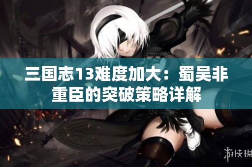 三国志13难度加大：蜀吴非重臣的突破策略详解
