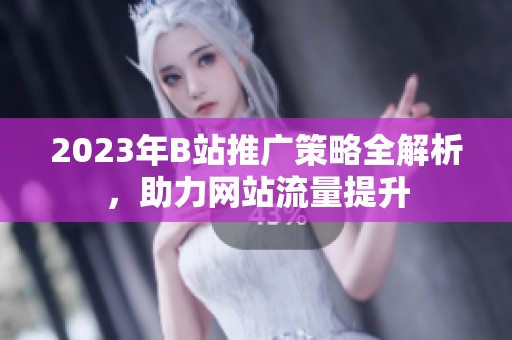 2023年B站推广策略全解析，助力网站流量提升