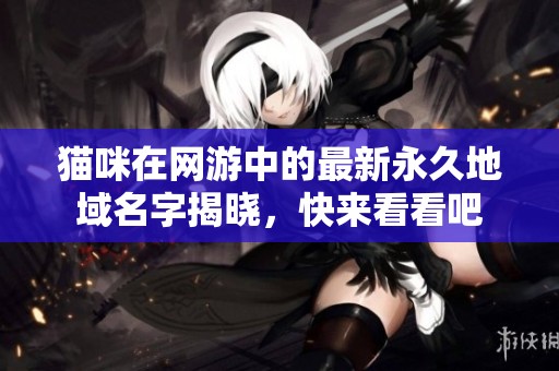 猫咪在网游中的最新永久地域名字揭晓，快来看看吧
