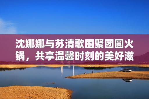 沈娜娜与苏清歌围聚团圆火锅，共享温馨时刻的美好滋味
