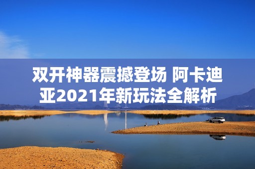 双开神器震撼登场 阿卡迪亚2021年新玩法全解析