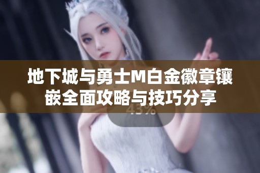 地下城与勇士M白金徽章镶嵌全面攻略与技巧分享