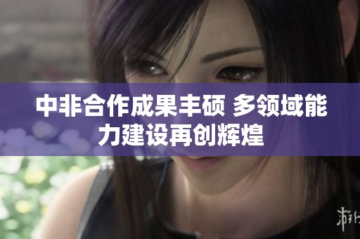 中非合作成果丰硕 多领域能力建设再创辉煌
