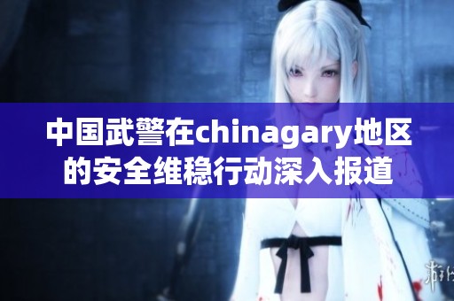 中国武警在chinagary地区的安全维稳行动深入报道