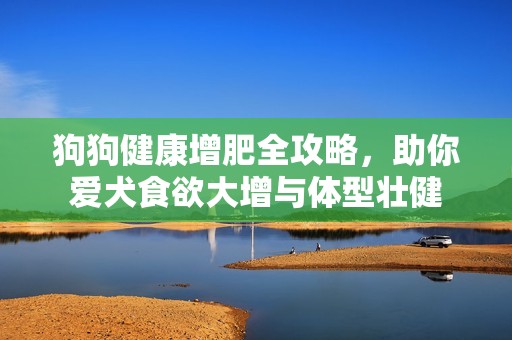 狗狗健康增肥全攻略，助你爱犬食欲大增与体型壮健