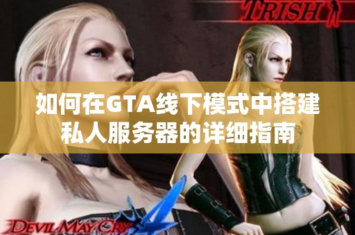 如何在GTA线下模式中搭建私人服务器的详细指南