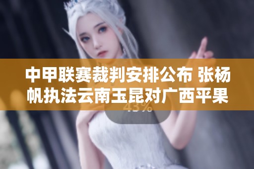 中甲联赛裁判安排公布 张杨帆执法云南玉昆对广西平果哈嘹比赛