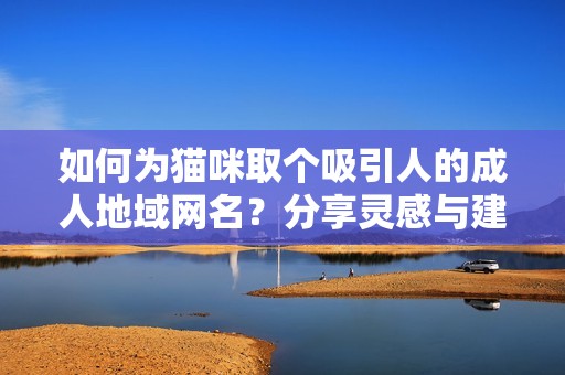 如何为猫咪取个吸引人的成人地域网名？分享灵感与建议