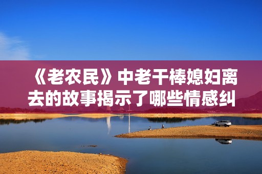 《老农民》中老干棒媳妇离去的故事揭示了哪些情感纠葛