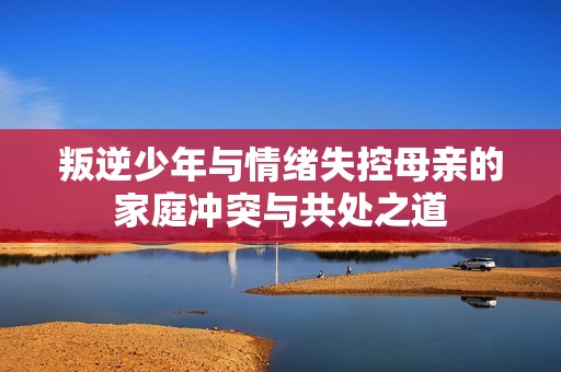 叛逆少年与情绪失控母亲的家庭冲突与共处之道