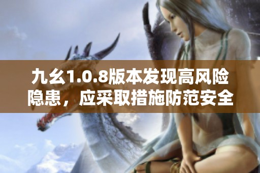 九幺1.0.8版本发现高风险隐患，应采取措施防范安全问题