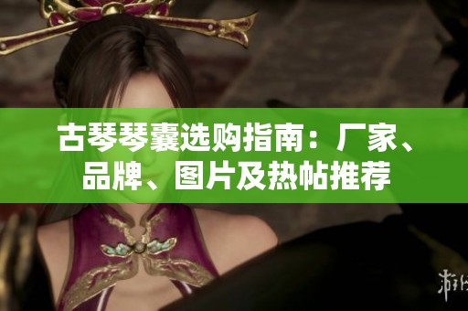 古琴琴囊选购指南：厂家、品牌、图片及热帖推荐