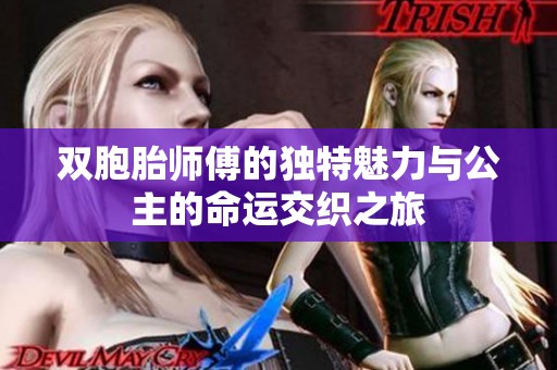 双胞胎师傅的独特魅力与公主的命运交织之旅