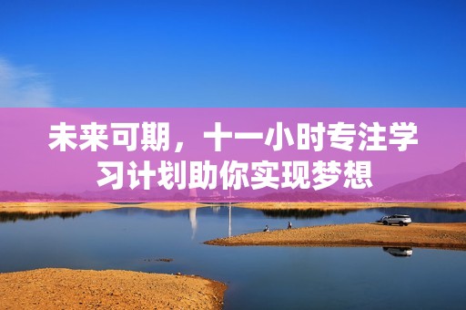 未来可期，十一小时专注学习计划助你实现梦想