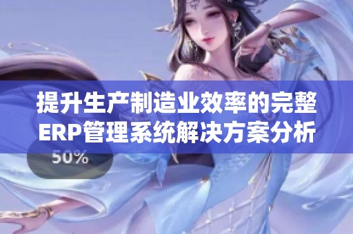 提升生产制造业效率的完整ERP管理系统解决方案分析
