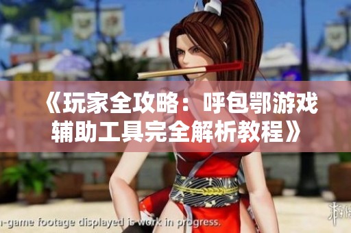 《玩家全攻略：呼包鄂游戏辅助工具完全解析教程》