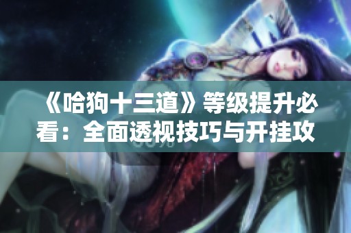 《哈狗十三道》等级提升必看：全面透视技巧与开挂攻略解析