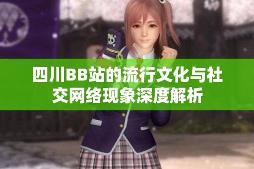 四川BB站的流行文化与社交网络现象深度解析