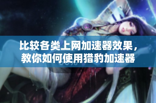 比较各类上网加速器效果，教你如何使用猎豹加速器