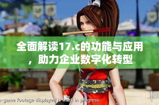 全面解读17.c的功能与应用，助力企业数字化转型