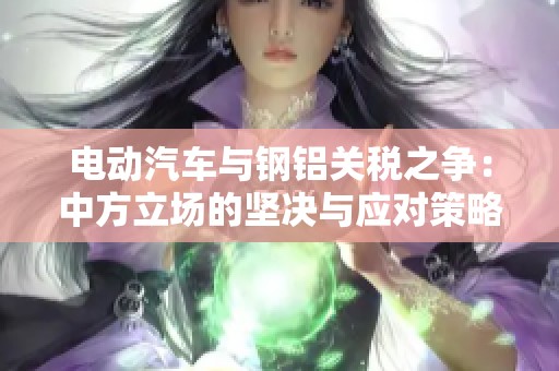 电动汽车与钢铝关税之争：中方立场的坚决与应对策略